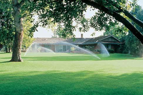 On location at Grasshopper Irrigation, Inc., a Landscaper in Greater Boston